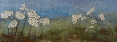 Cow Parsley - SOLD